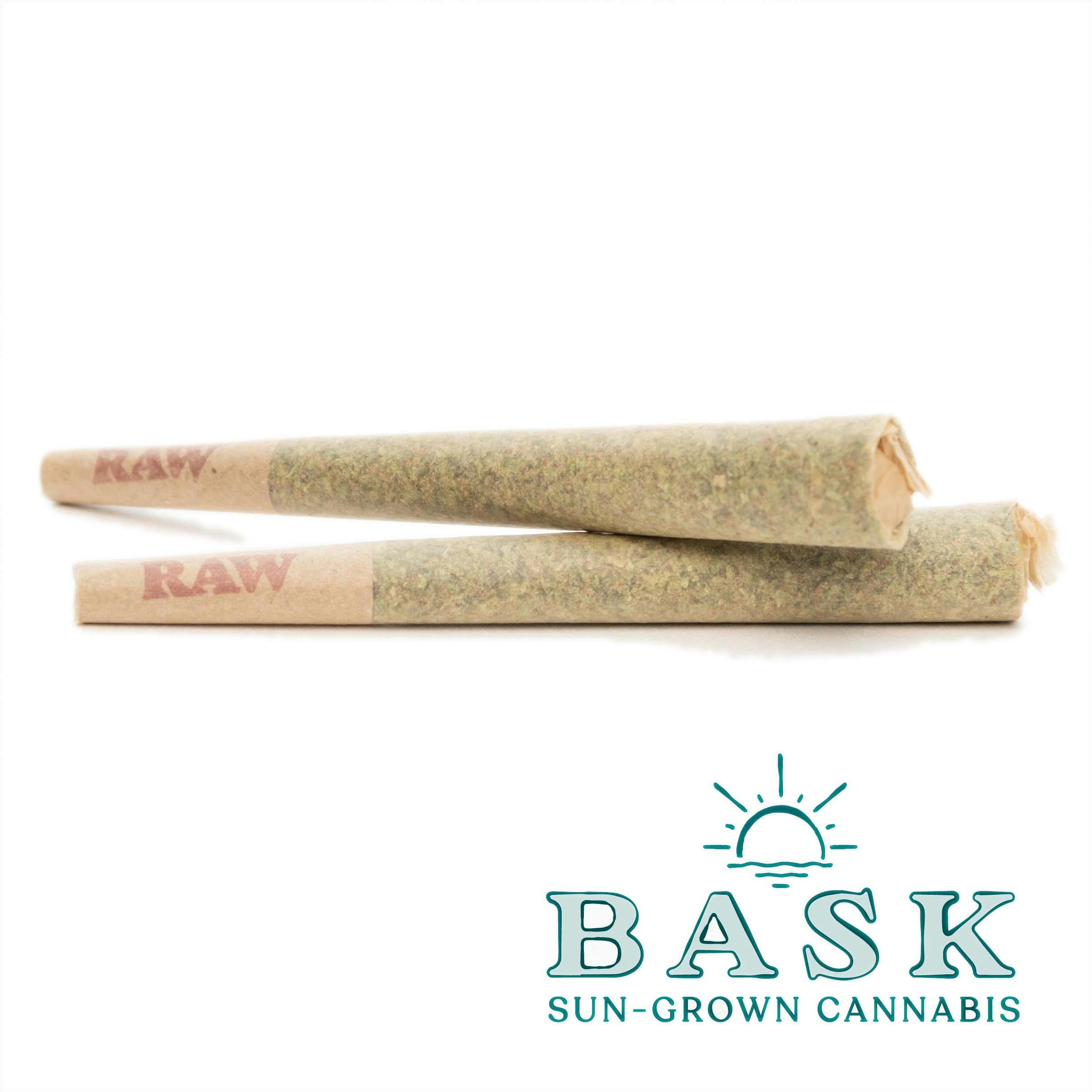 Bask Forbidden Runtz Pre-Roll 1g